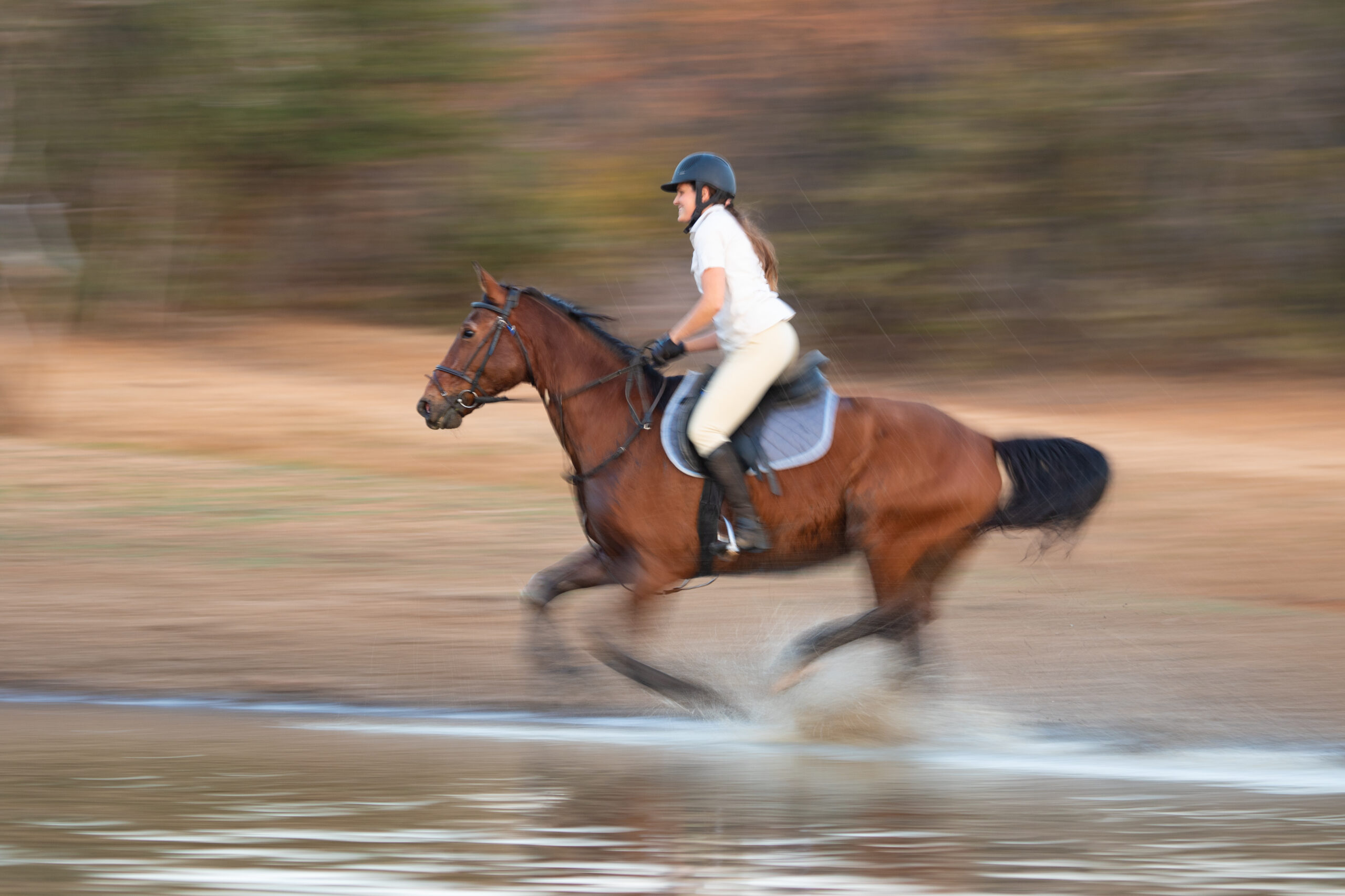 Horseback canter through the dam